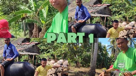 pinay kantotan sa bukid